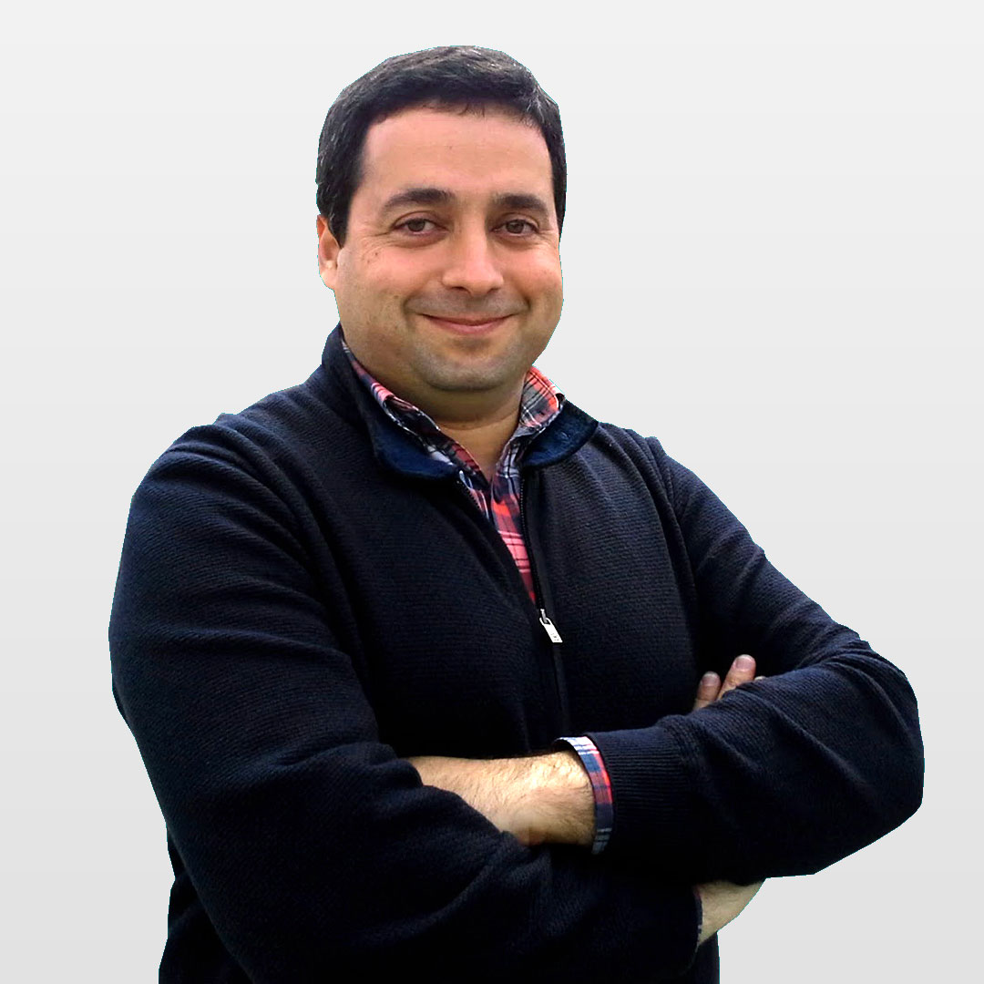 Sérgio Freire
                            